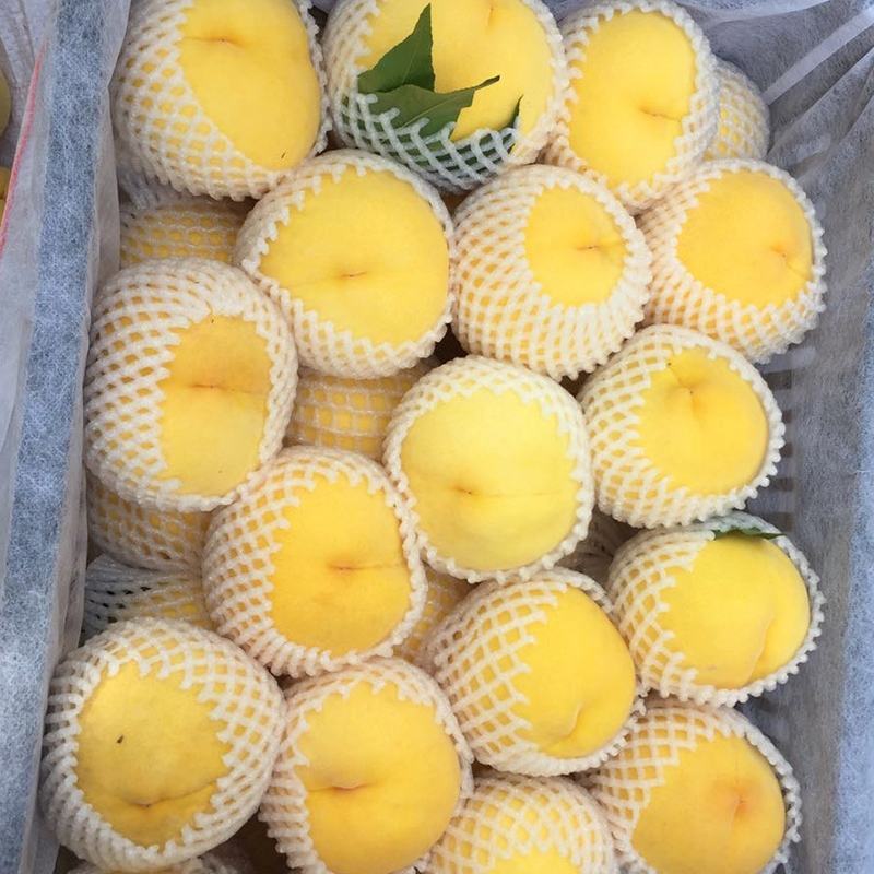 黄桃新鲜水果当季整箱5斤包邮应当季时令水蜜桃现摘现发毛桃
