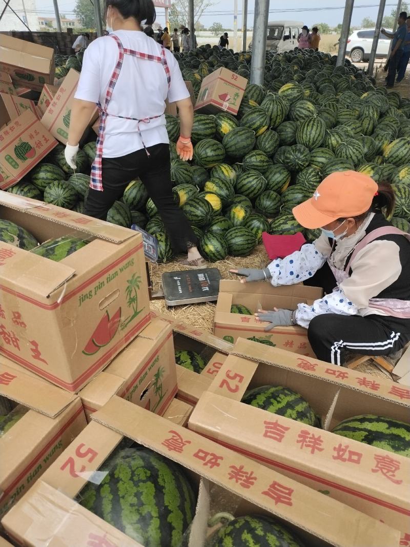 精品甜王包熟，对接电商市场，原产地保质保量