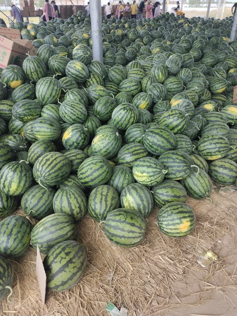 精品甜王包熟，对接电商市场，原产地保质保量