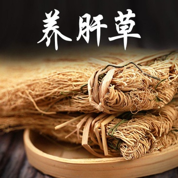 养肝草，批发大户，专注批发，一手货源，量大有优惠