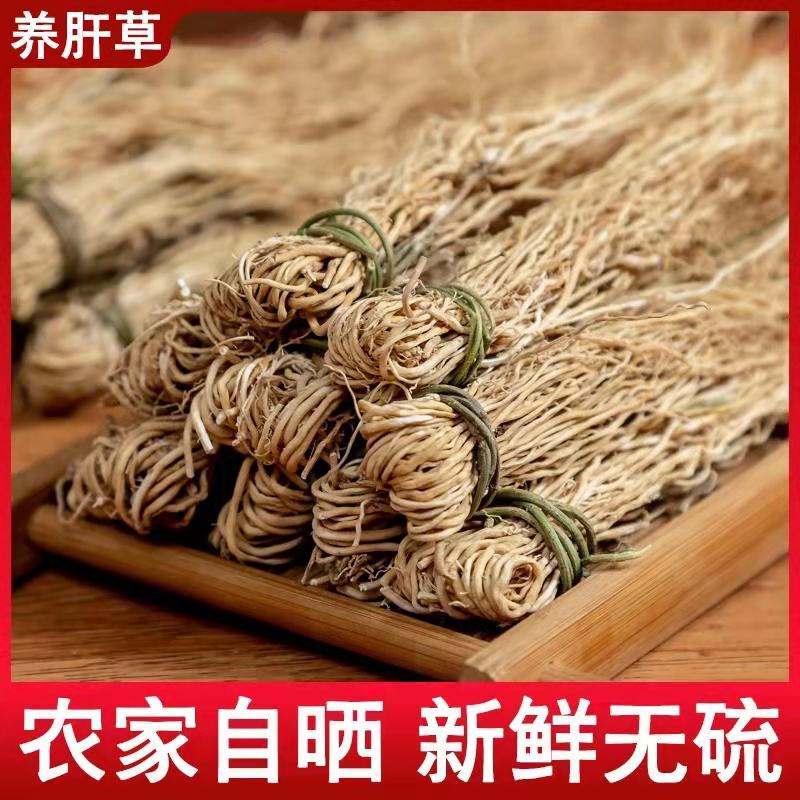 养肝草，批发大户，专注批发，一手货源，量大有优惠
