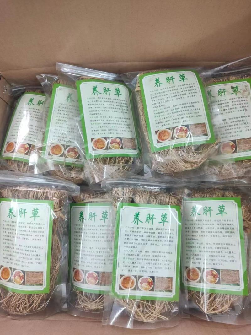 养肝草，批发大户，专注批发，一手货源，量大有优惠