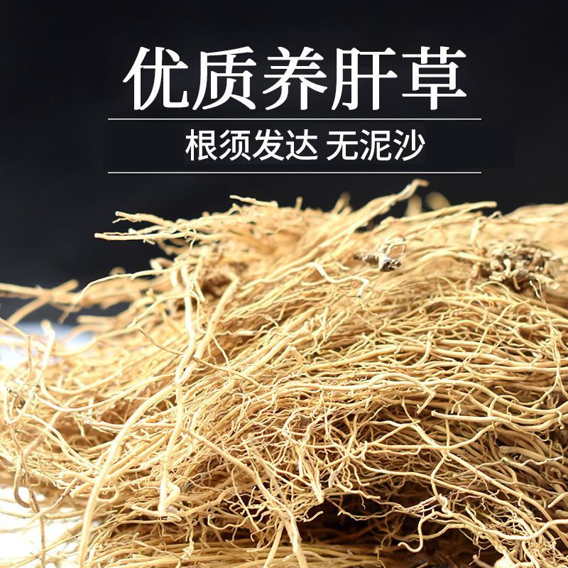养肝草，批发大户，专注批发，一手货源，量大有优惠