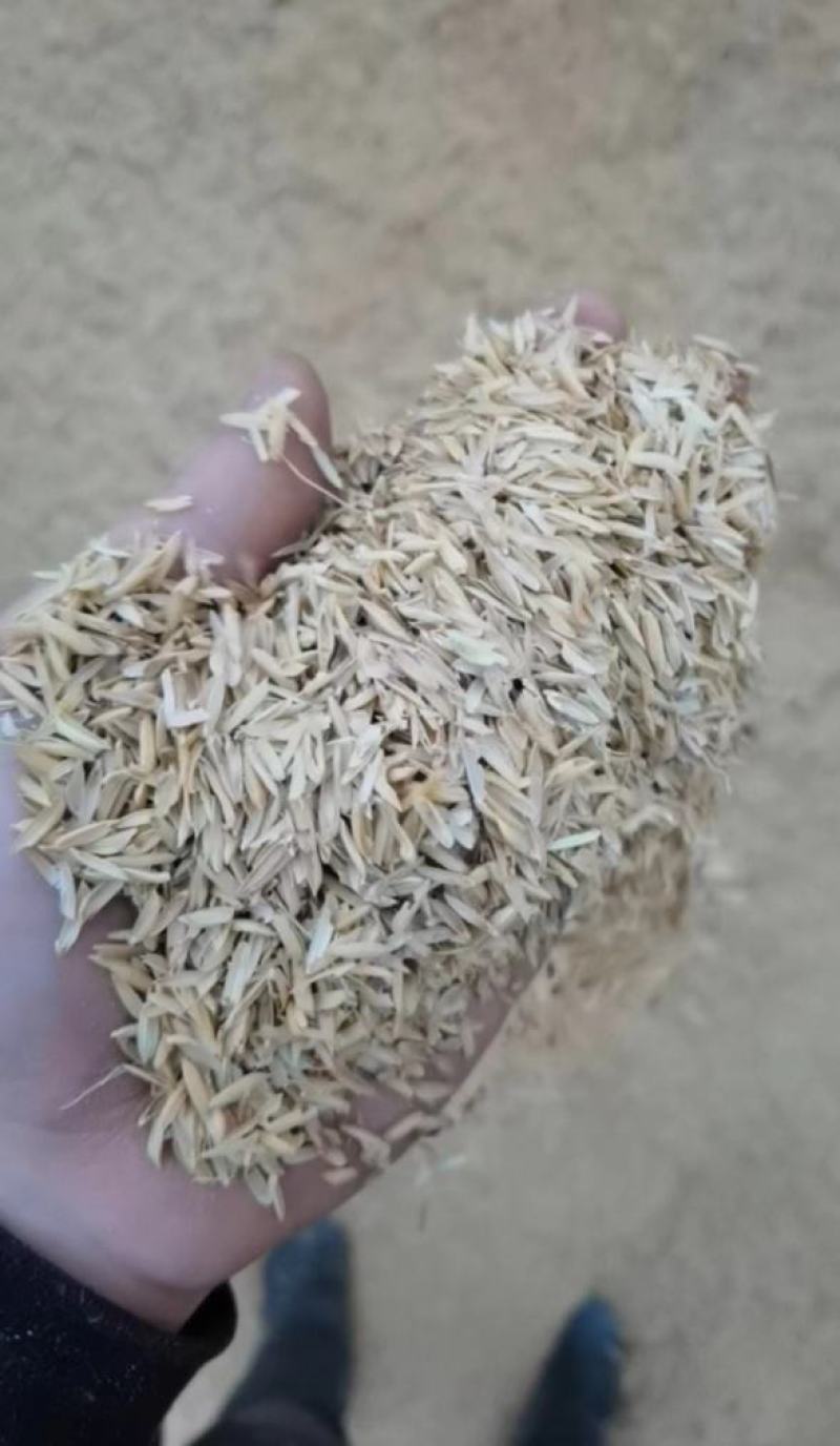 酿酒稻壳