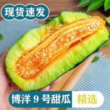 【实力热卖】博洋9甜瓜大量有货,保熟保甜,基地直发