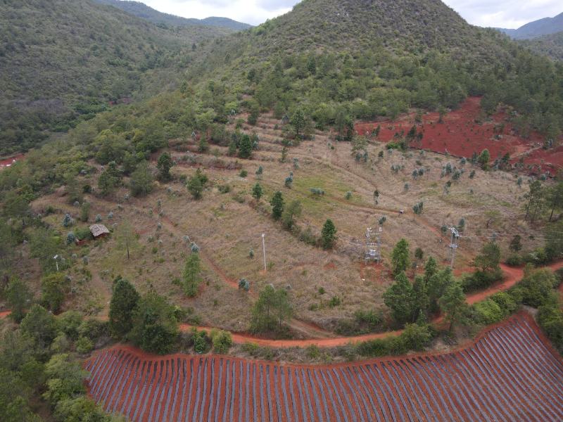 有好货：县城周边五公里26.8亩果园地菌山低价转让
