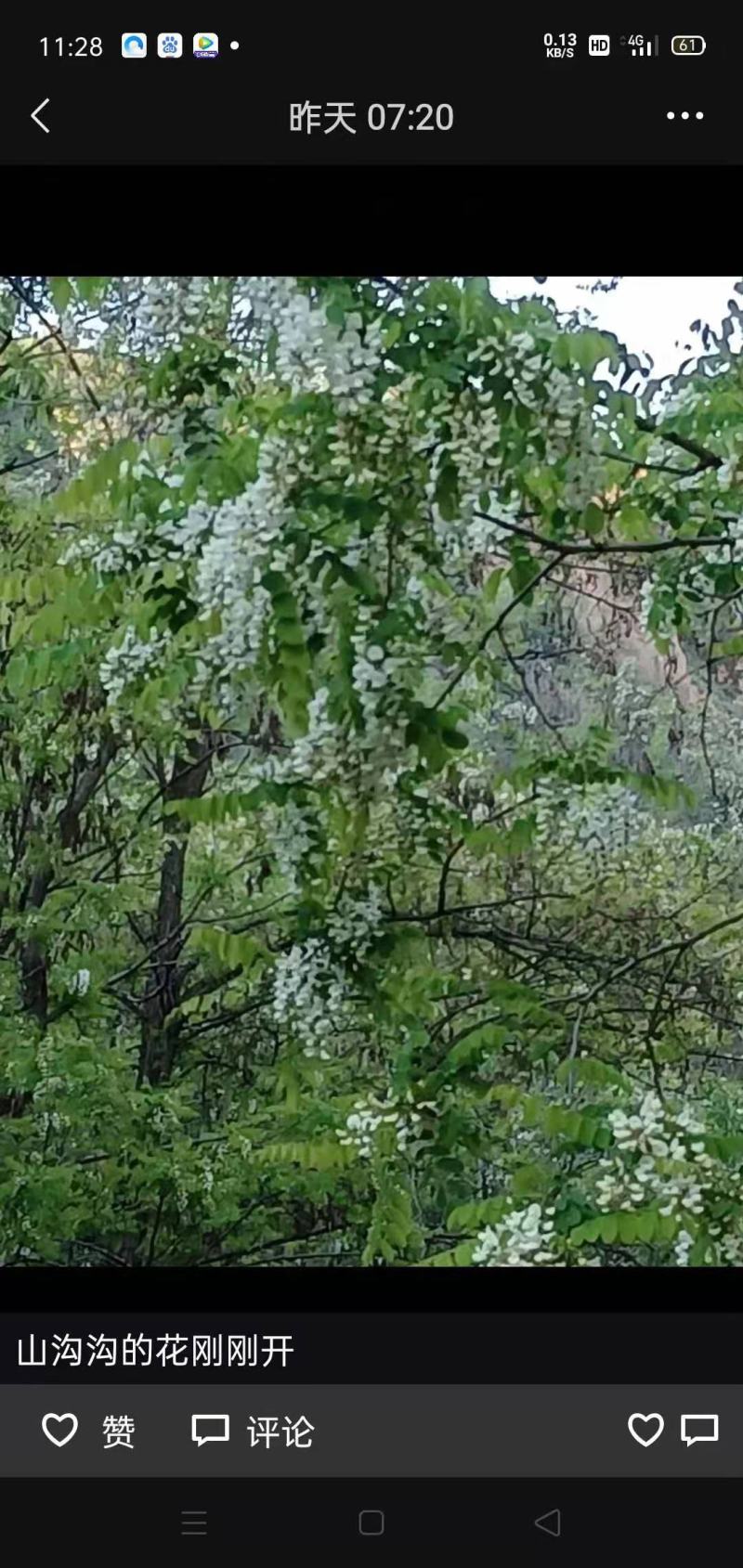 土特产蜂蜜