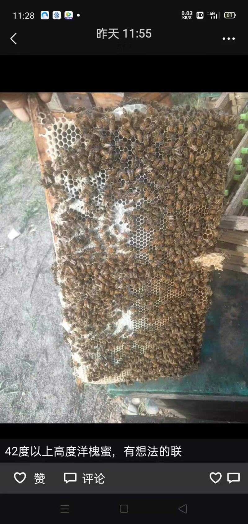 土特产蜂蜜