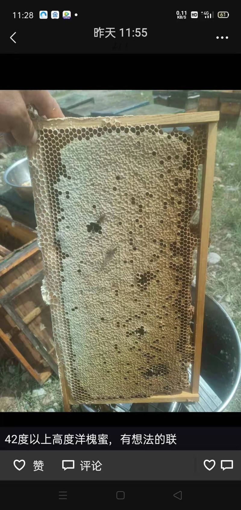 土特产蜂蜜