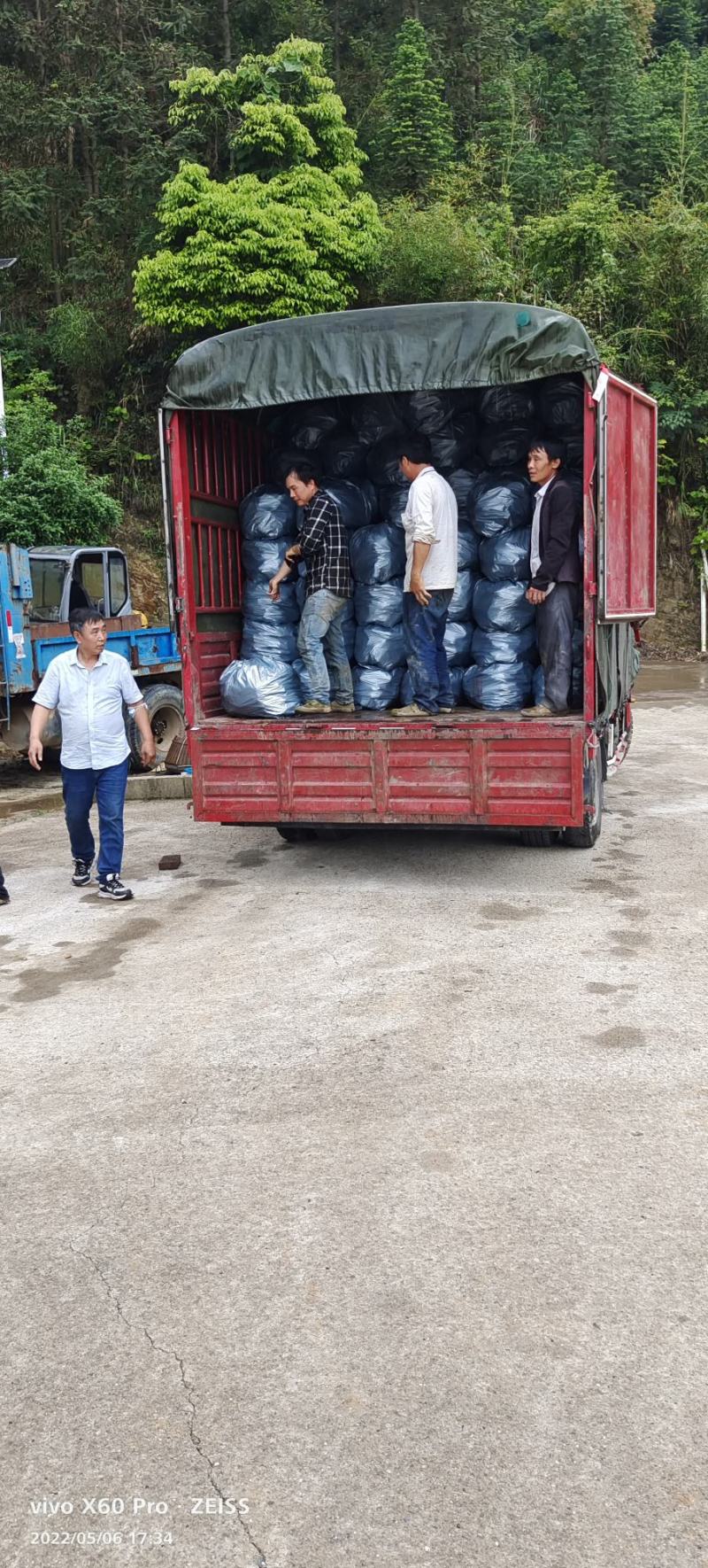 老姜，广西柳州瑶山香辣火姜