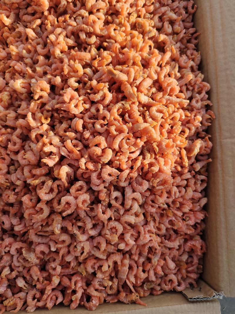 水产自产自销海米批发，质量保证，要无盐的电议