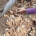 老姜广西柳州地区瑶山香辣火姜，大量有货，对接全国市场电商