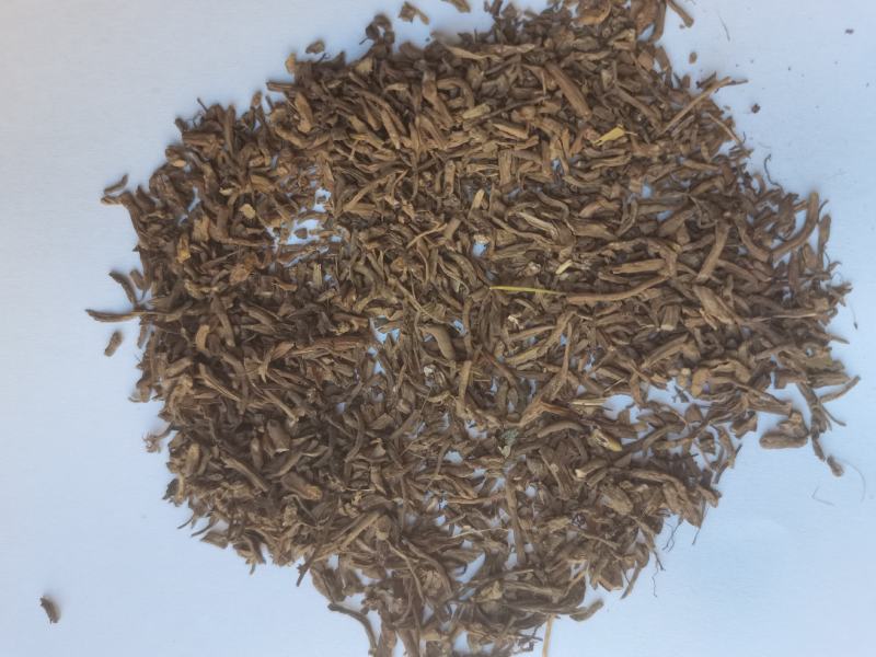 石菖蒲杆批发零售支持混批报价量大从优