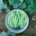精品四季豆大青豆实力代收代发现摘现发货源充足诚信合作