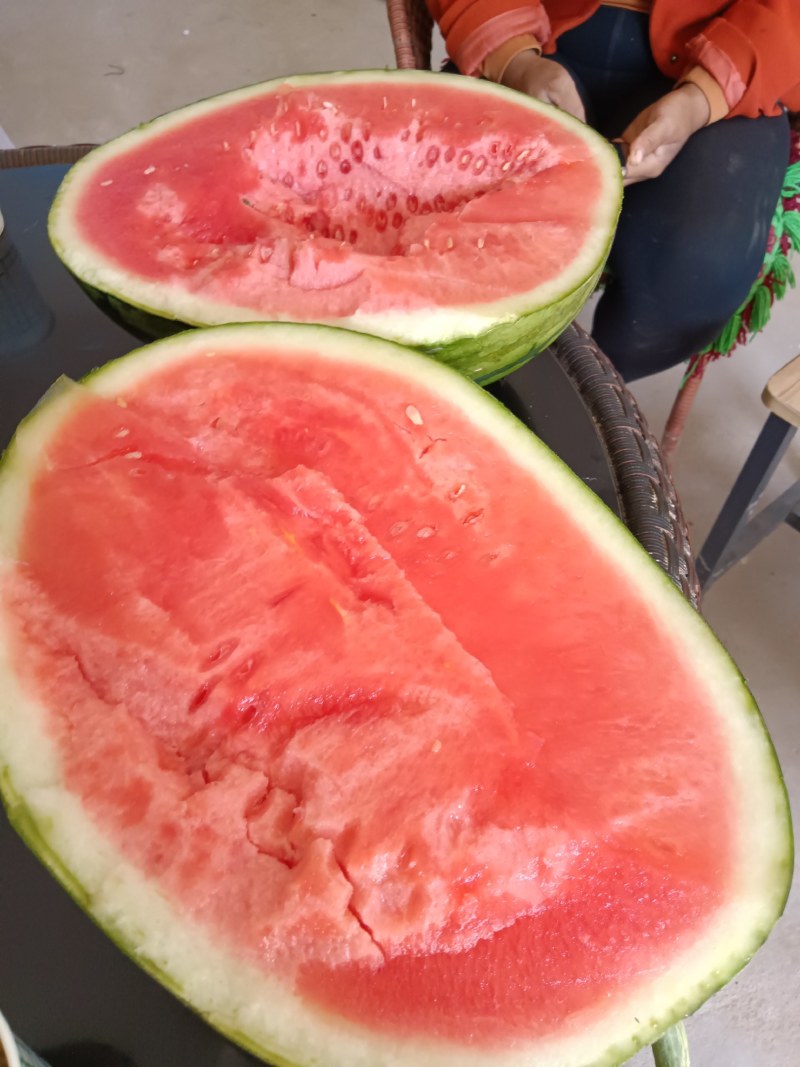 大量供应陕西精品甜王，量大，货源足，有需要的朋友联系本人