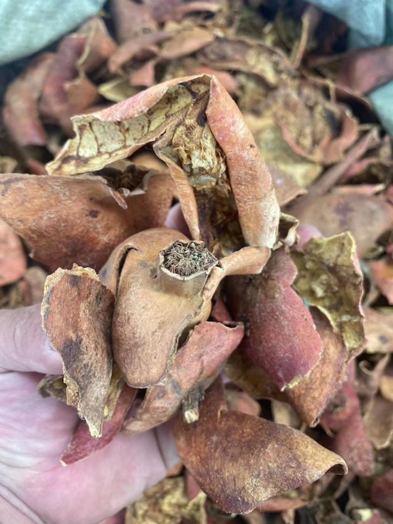 石榴皮中药材批发石榴皮丝石榴皮壳石榴皮粉免费代客磨粉