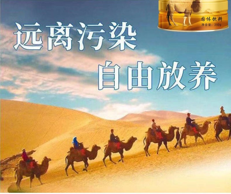 PICC质保新疆益生菌多维营养粉骆驼奶粉钙铁锌学生成人