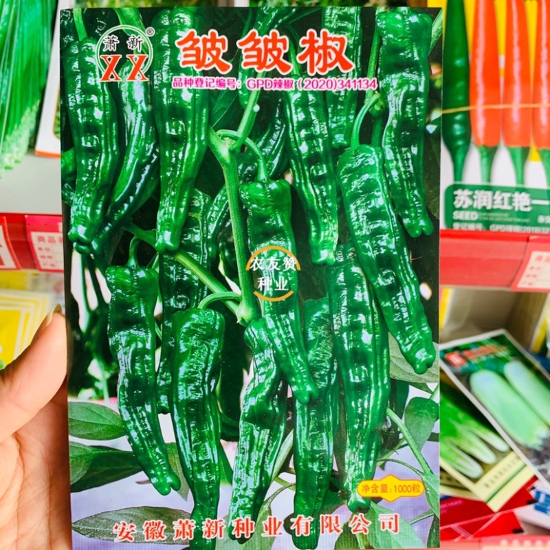 萧新皱皱椒种子皮薄质脆辣味浓，小皱皮辣椒种子果色亮绿