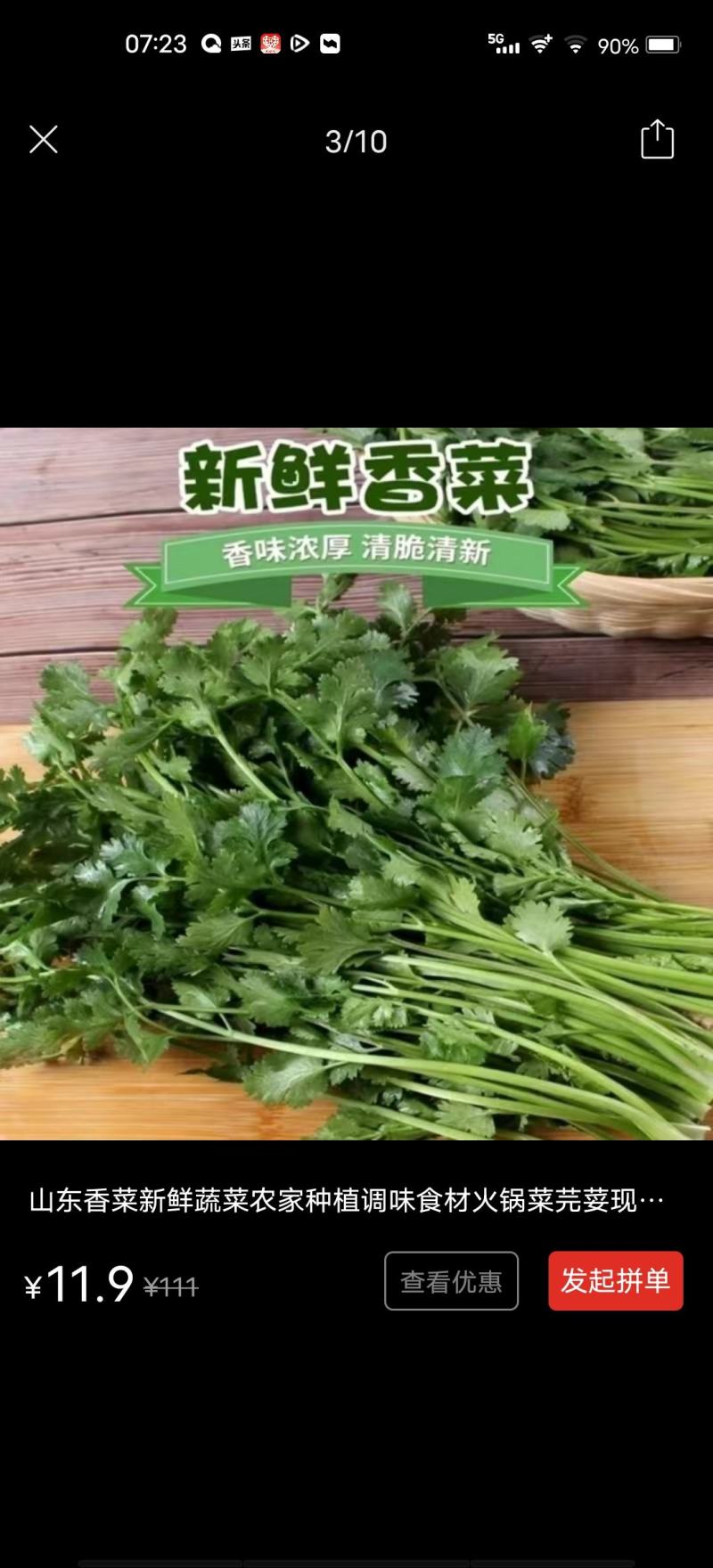 【香菜】大叶香菜，15-35公分，量大质优产地直发，4斤装