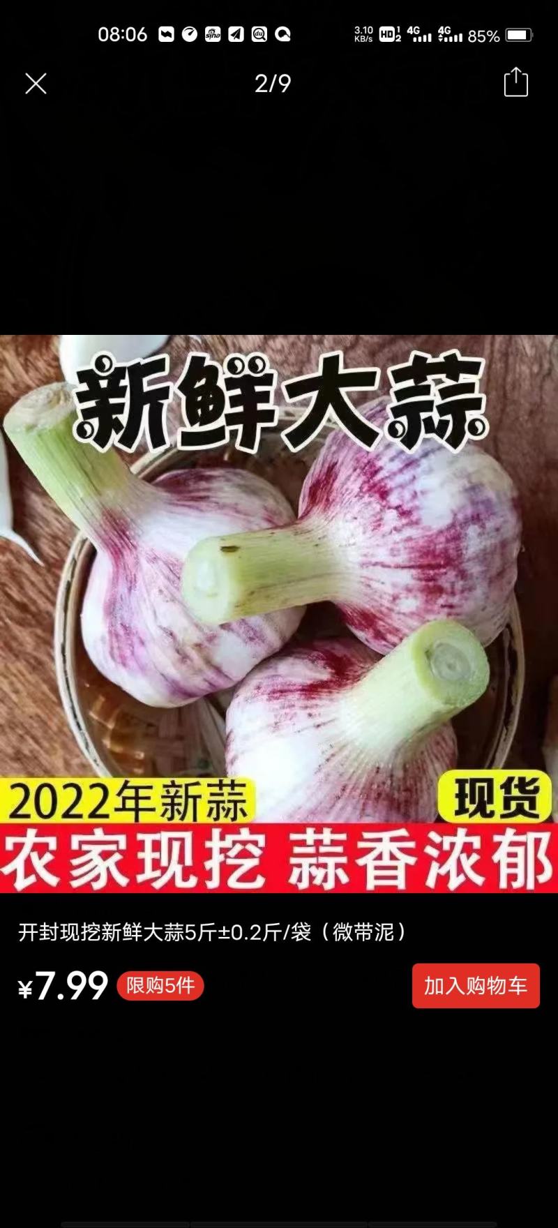 （热销）大蒜产地直销欢迎洽谈，（大蒜产地直销）