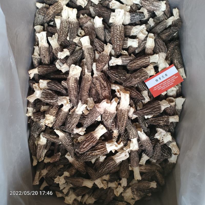 羊肚菌干品云南干羊肚菌产地批发一件代发包邮