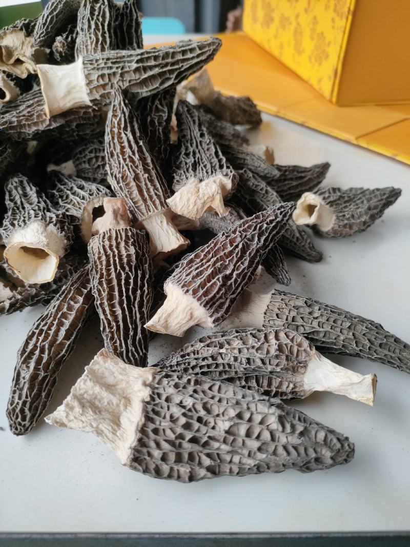 羊肚菌干品云南干羊肚菌产地批发一件代发包邮