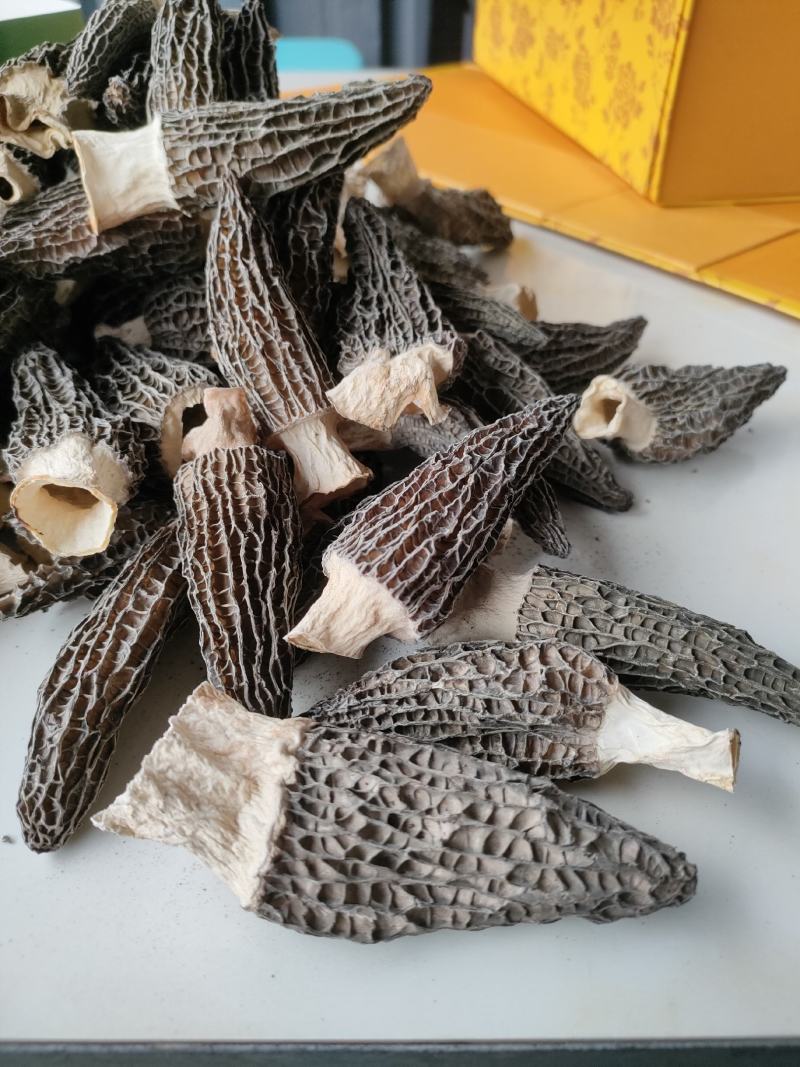 羊肚菌干品云南干羊肚菌产地批发一件代发包邮