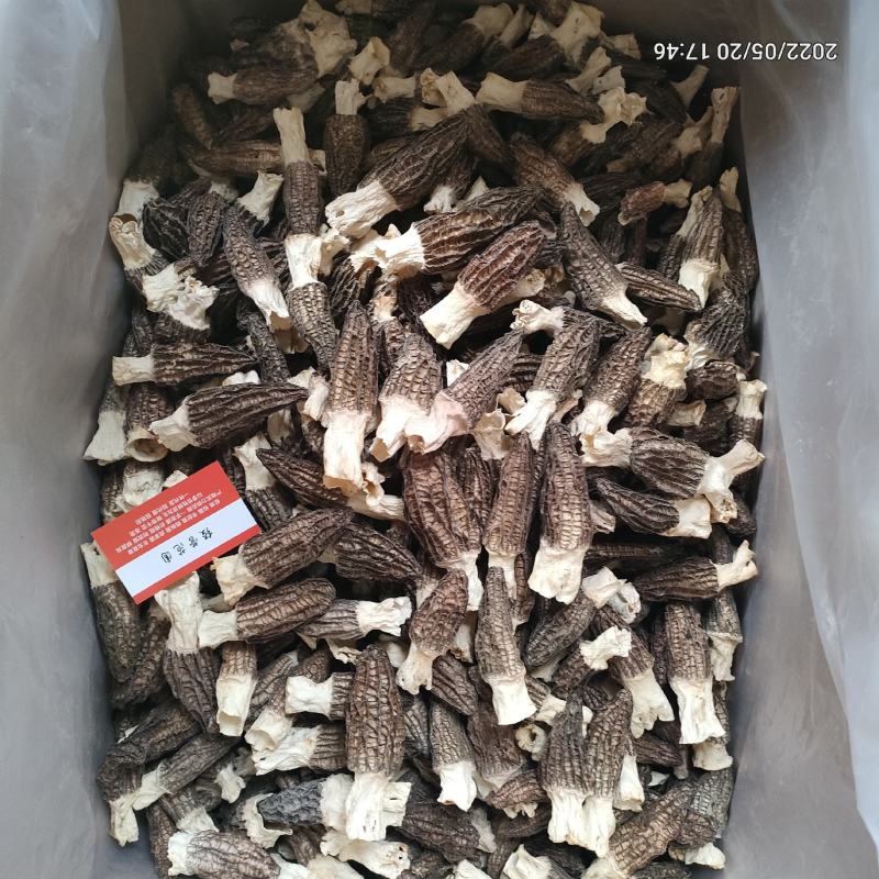 羊肚菌干品云南干羊肚菌产地批发一件代发包邮