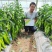 豫艺新时代高产皮薄早熟单果180克产15000斤粗，长