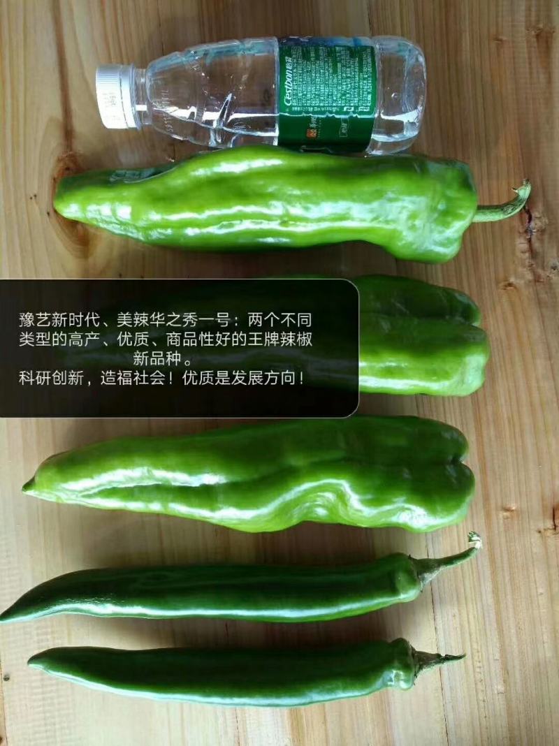 豫艺新时代高产皮薄早熟单果180克产15000斤粗，长