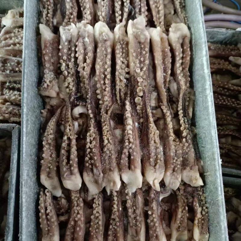 脆口鱿鱼须二本足铁板烧鱿鱼须自助餐厅饭店烧烤店专用鱿鱼须