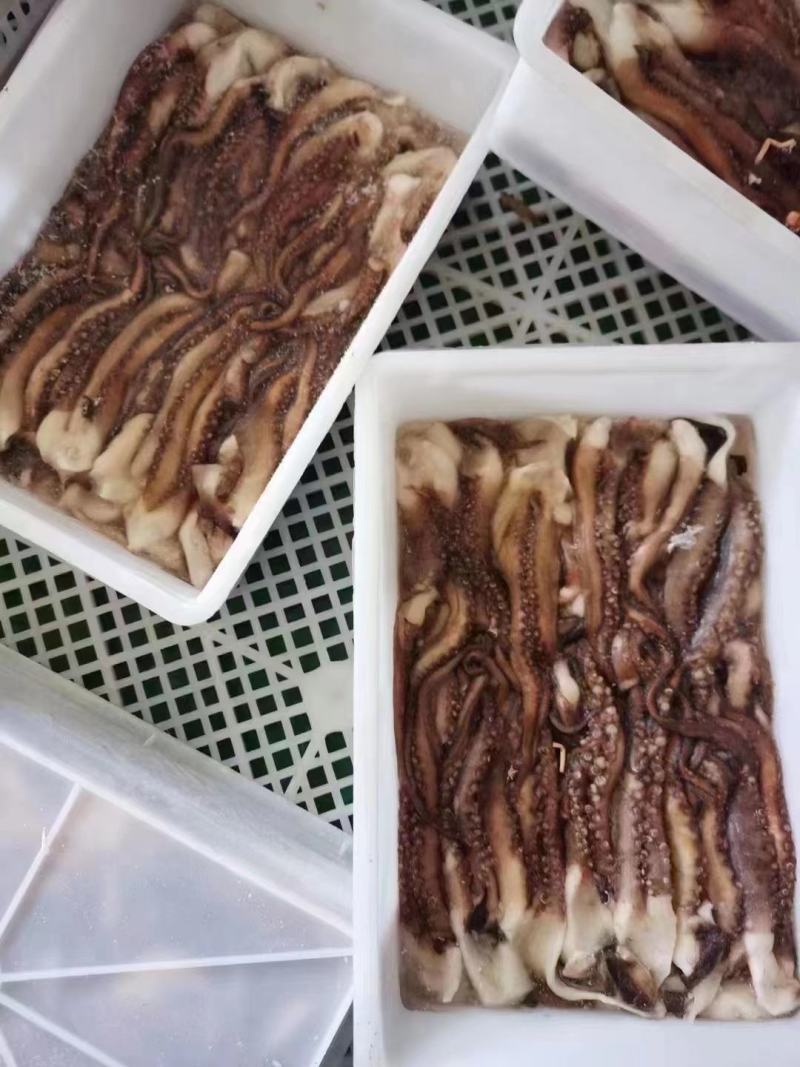 脆口鱿鱼须二本足铁板烧鱿鱼须自助餐厅饭店烧烤店专用鱿鱼须