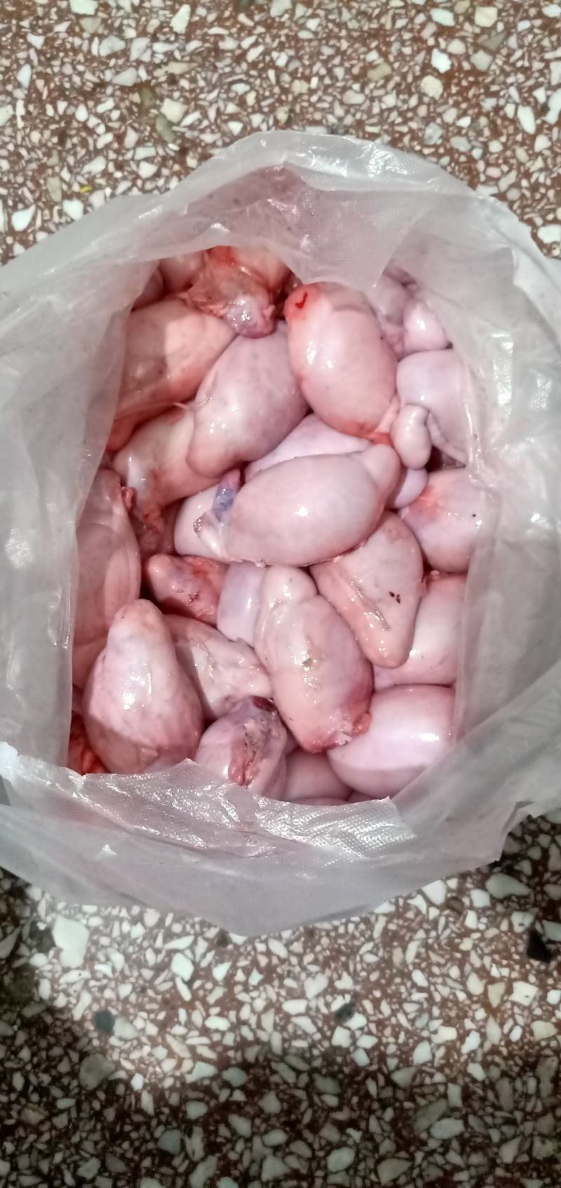 内蒙本地羔羊羊宝，加工厂家直销，个大质量好。