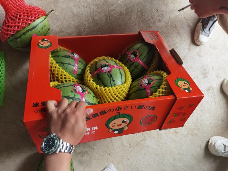 陕西蒲城精品冰淇淋小糖丸吊篮西瓜上市中欢迎参观品尝