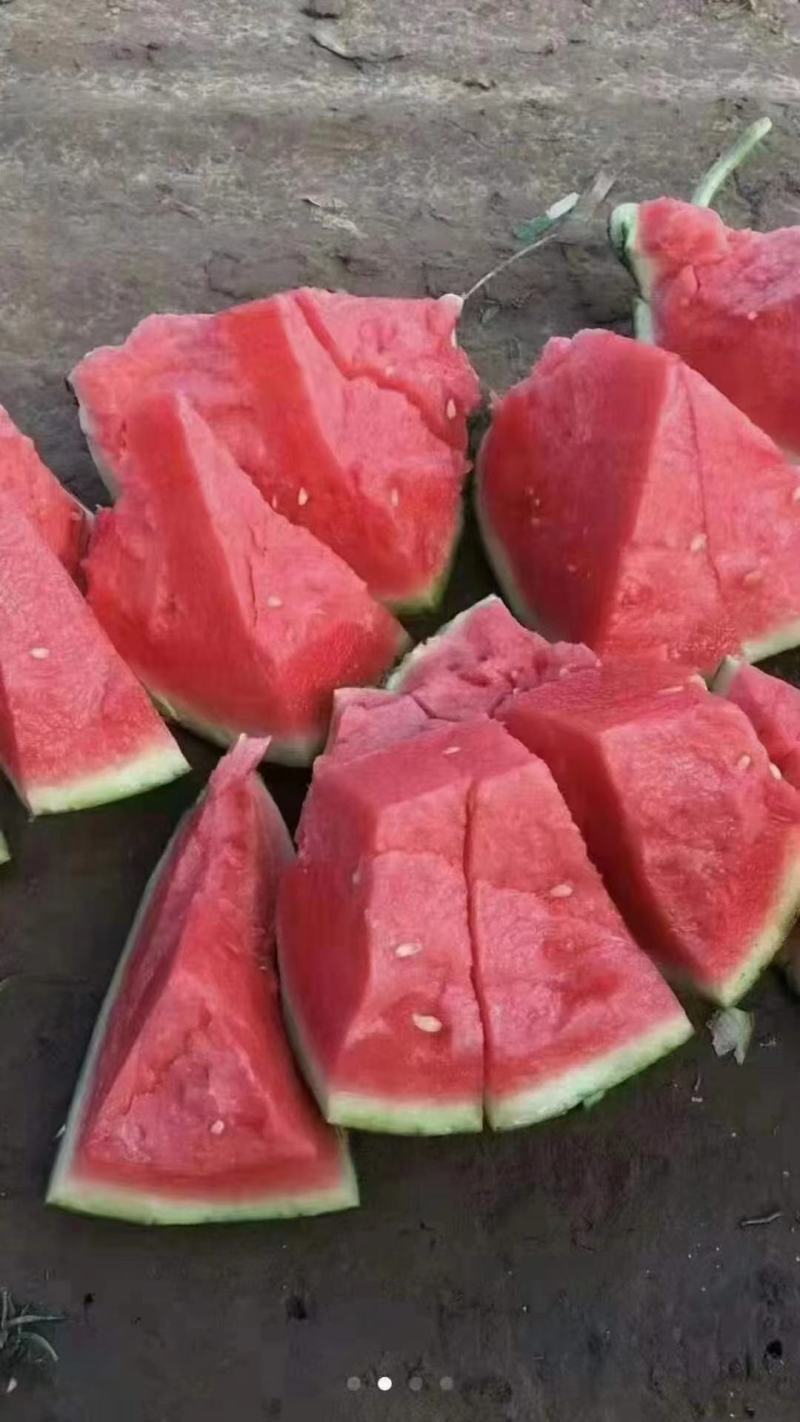 精品美都西瓜精品西瓜保甜超甜保质保量量大从优