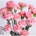 康乃馨盆栽带花苞四季开花阳台庭院绿植花卉室内外花苗种植