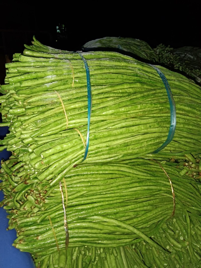 泡豆角