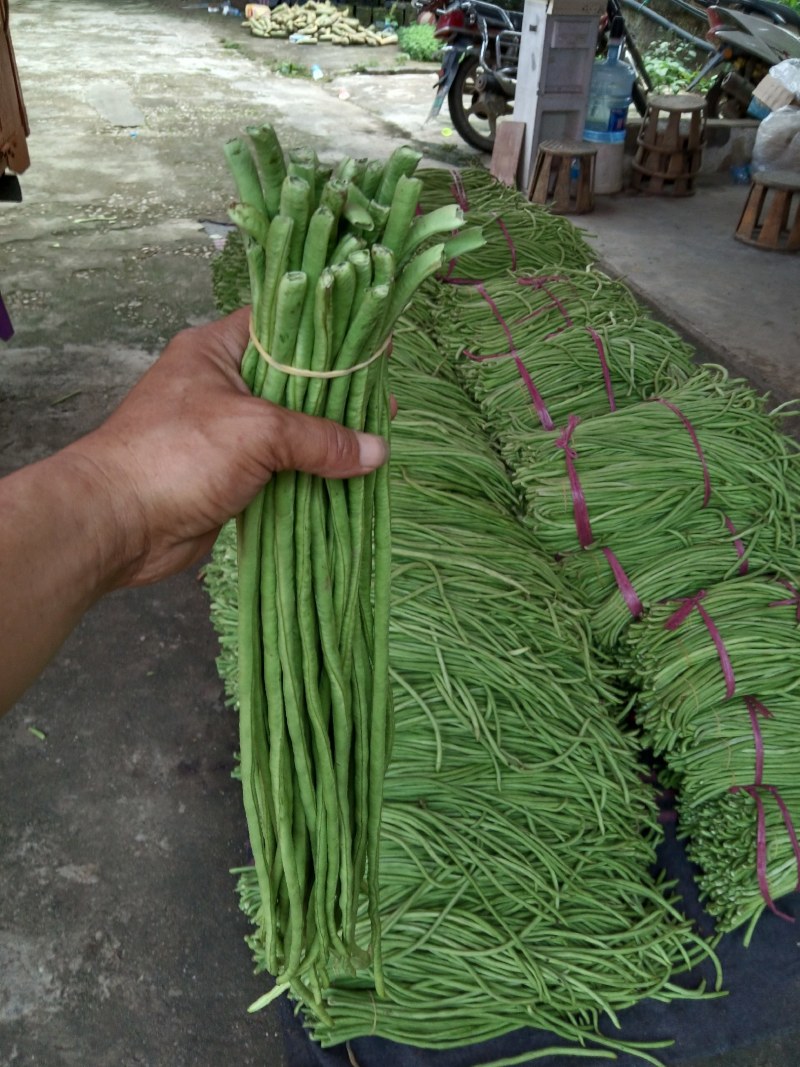 泡豆角