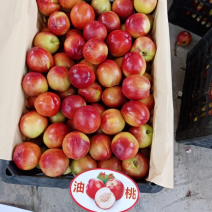 产地直供曙光甜油桃，