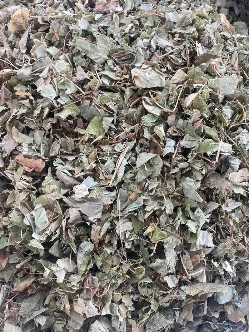淫羊藿中药材批发仙灵脾洋火叶刚前淫羊藿粉代客磨粉