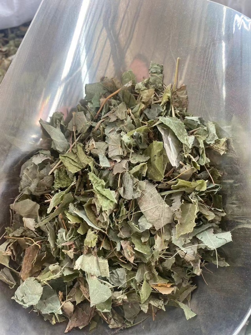 淫羊藿中药材批发仙灵脾洋火叶刚前淫羊藿粉代客磨粉