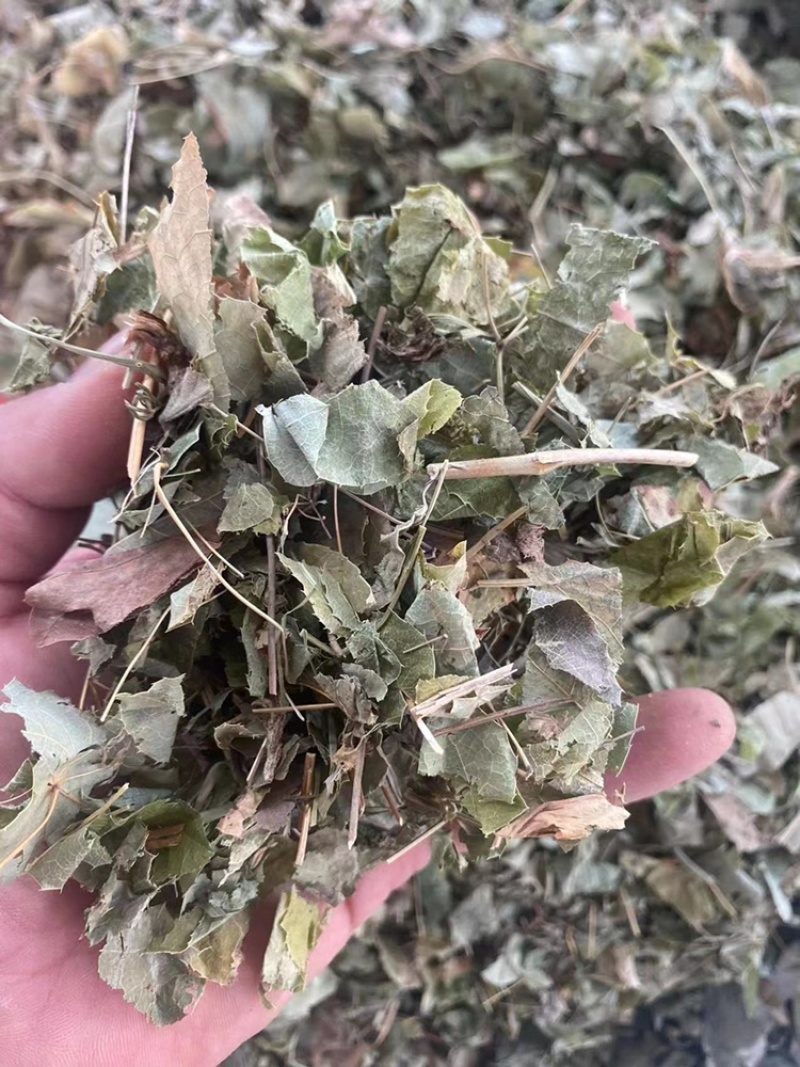 淫羊藿中药材批发仙灵脾洋火叶刚前淫羊藿粉代客磨粉