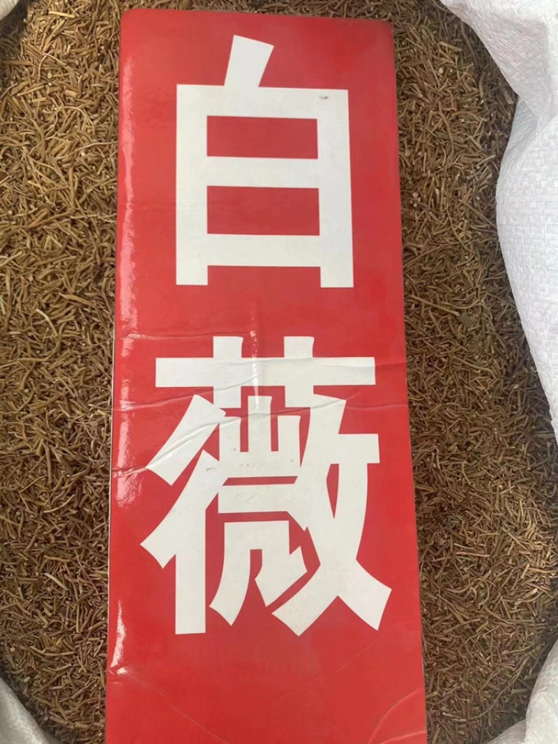 白薇中药材批发龙胆白薇薇草白马薇白薇粉代客磨粉