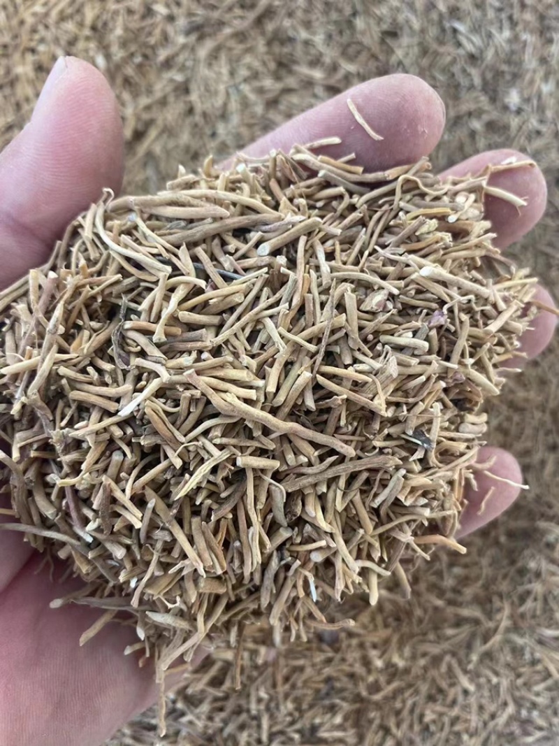 白薇中药材批发龙胆白薇薇草白马薇白薇粉代客磨粉