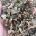 鱼腥草中药材批发折耳根干货当季新货鱼腥草粉代客磨粉