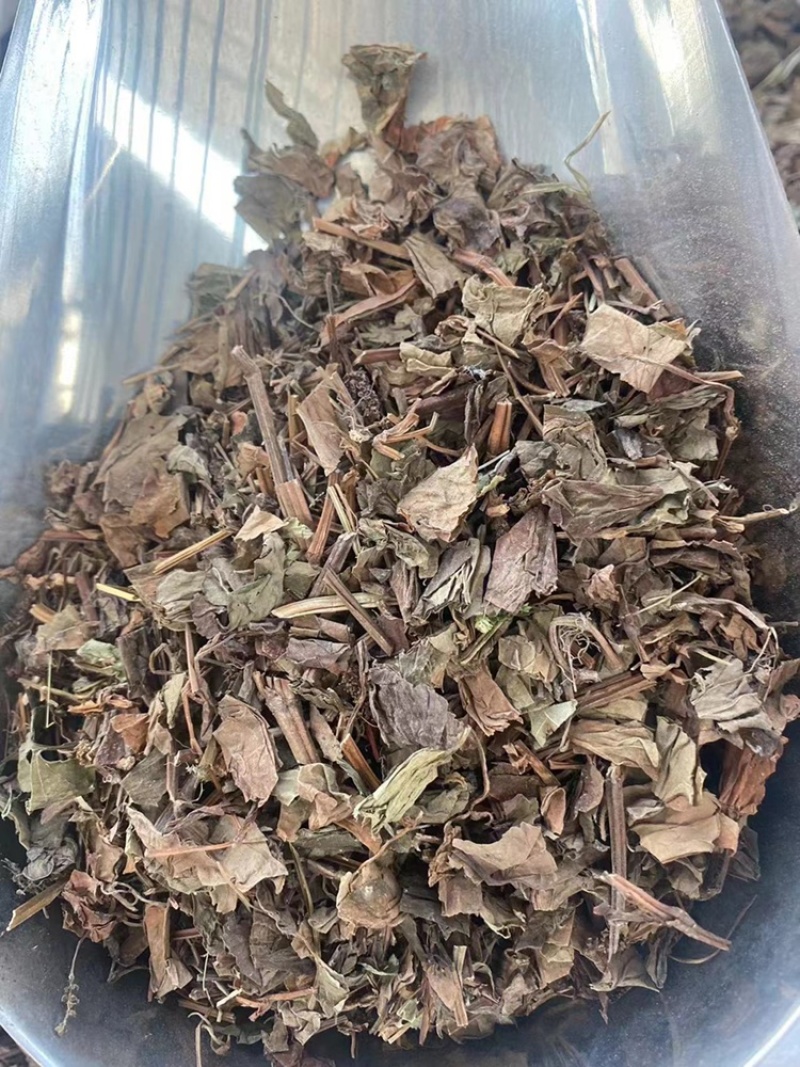 鱼腥草中药材批发折耳根干货当季新货鱼腥草粉代客磨粉