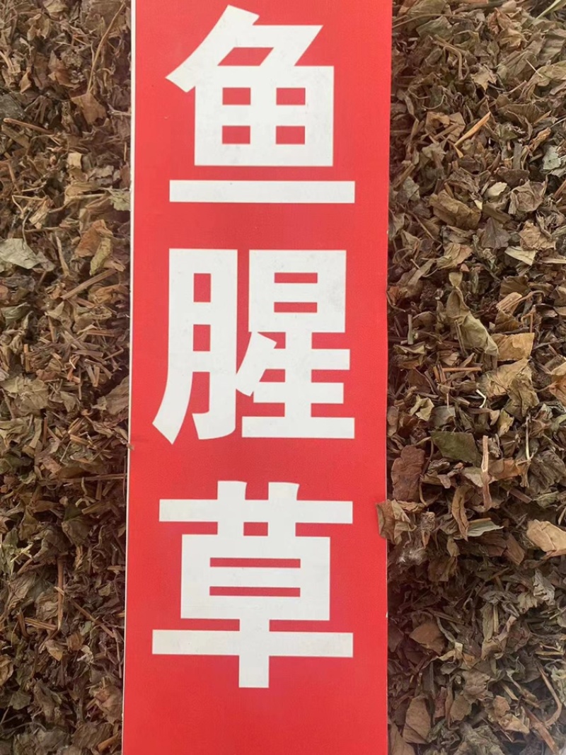 鱼腥草中药材批发折耳根干货当季新货鱼腥草粉代客磨粉
