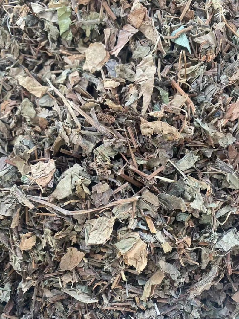 鱼腥草中药材批发折耳根干货当季新货鱼腥草粉代客磨粉