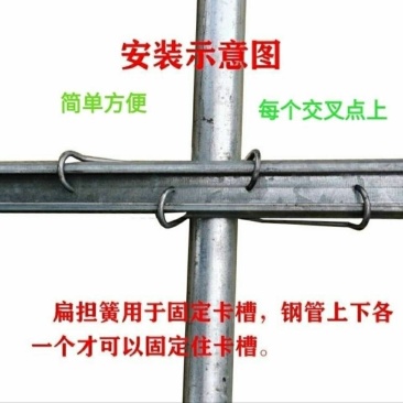 厂家直销大棚配件卡槽固定器扁担簧钢丝卡单钩卡扣固