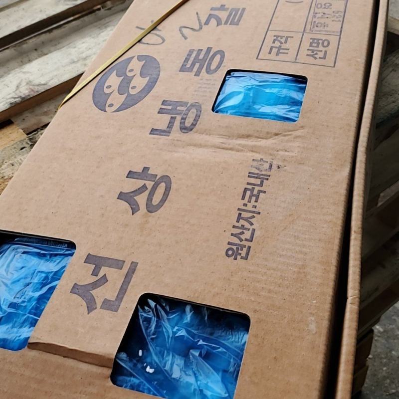 钩钓刀鱼